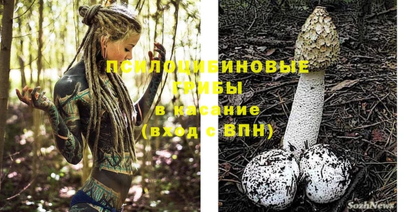 прущая мука Медногорск