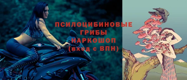 гидра Касимов