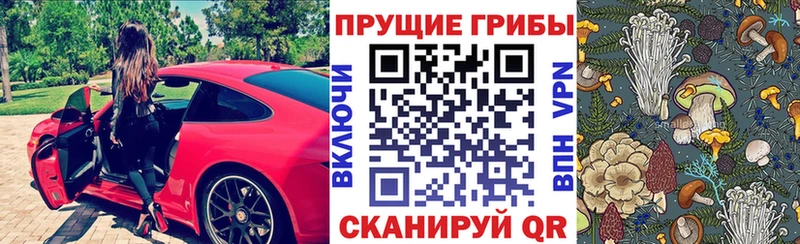 Псилоцибиновые грибы Psilocybe  Почеп 