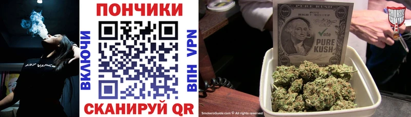 нарко площадка официальный сайт  Почеп  Шишки марихуана тримм 